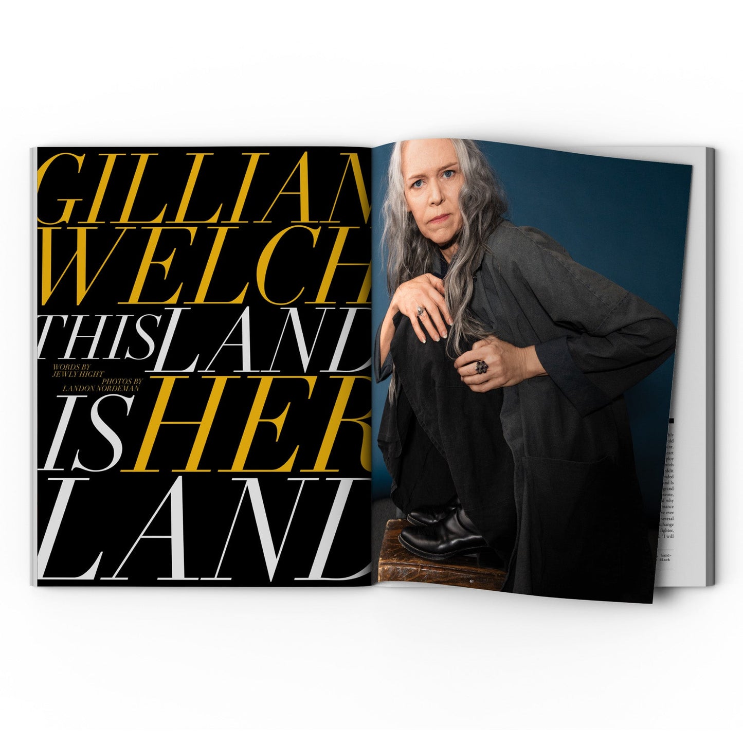 The Annual Subscription (Three Print Issues)